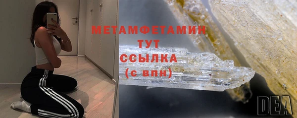 прущие грибы Надым