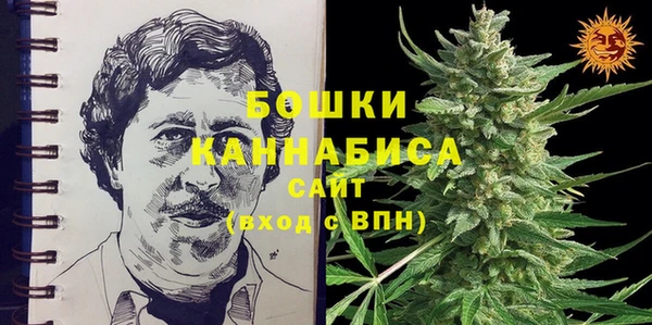 шишки Михайлов