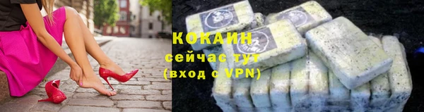 прущие грибы Надым