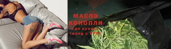 прущие грибы Надым