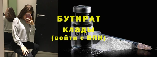 прущие грибы Надым