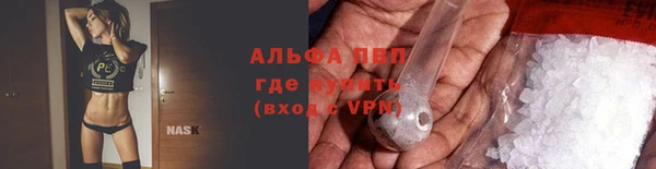 сатива Ахтубинск