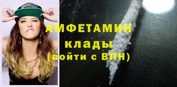 прущие грибы Надым