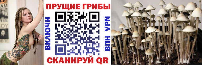 Псилоцибиновые грибы ЛСД  Йошкар-Ола 