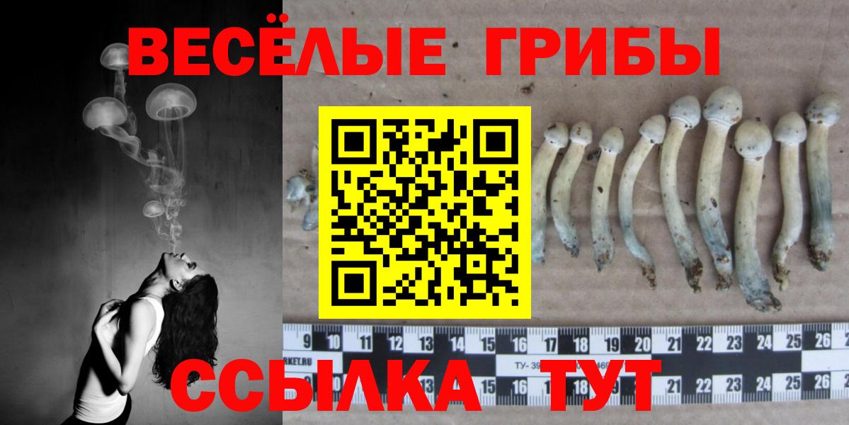 Галлюциногенные грибы Psilocybe  Галлюциногенные грибы прущие грибы  где купить наркотик  Йошкар-Ола  Вход с VPN 